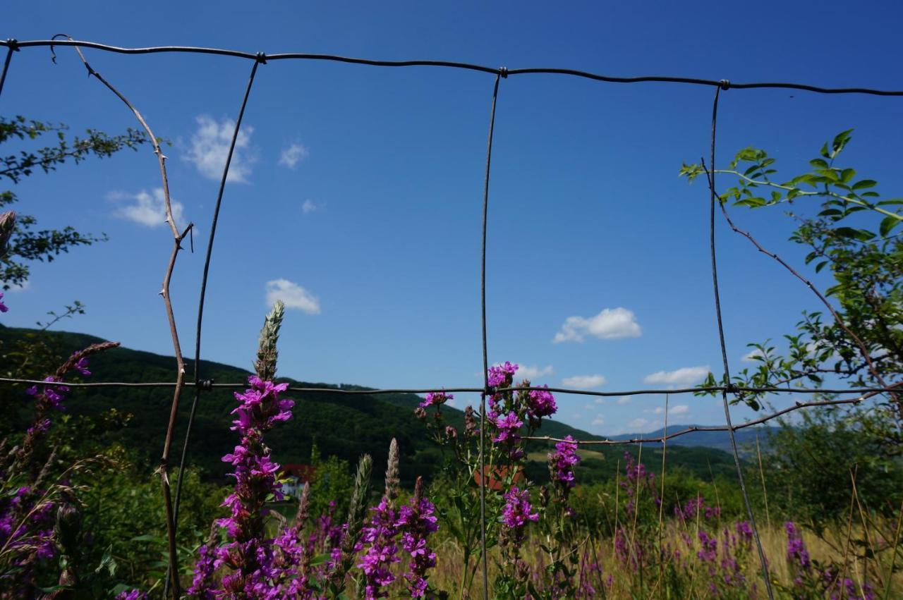Natura Chalets Praid Zewnętrze zdjęcie