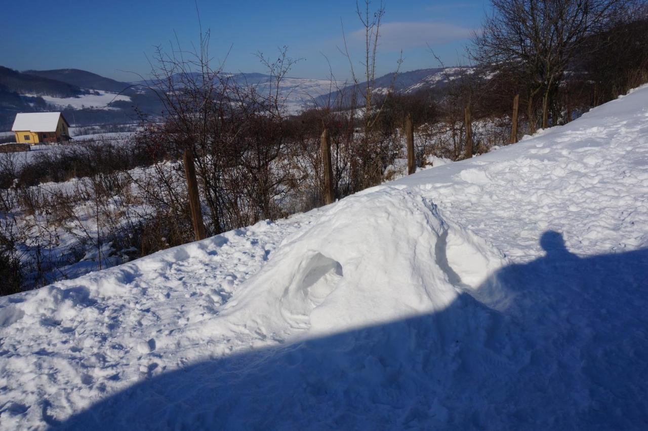 Natura Chalets Praid Zewnętrze zdjęcie
