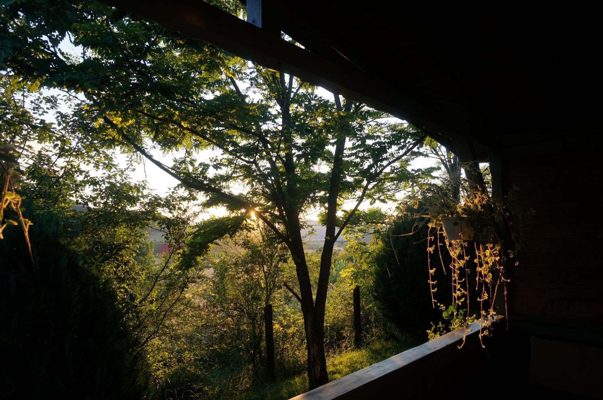 Natura Chalets Praid Zewnętrze zdjęcie