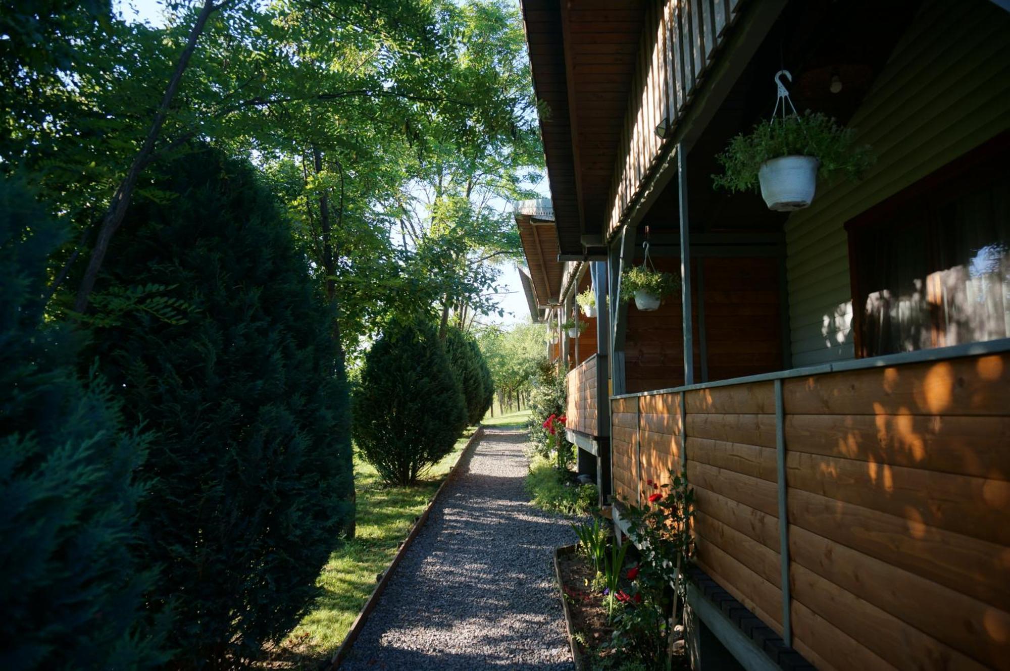 Natura Chalets Praid Zewnętrze zdjęcie